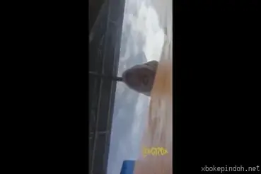 Ngentot Bini Orang Sampe Becek Banjir